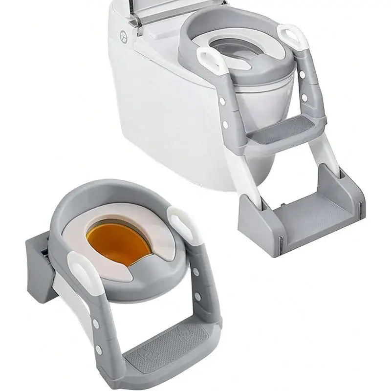 2-in-1 Toddler Potty Training Seat with Step Ladder